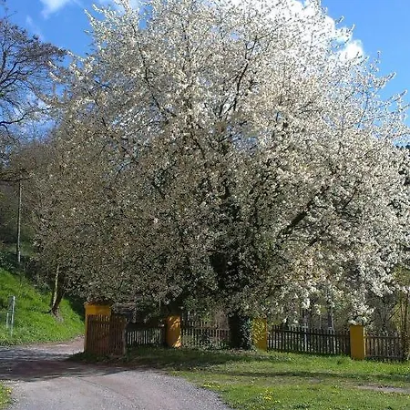 Ottmanach Schlosshof * Pischeldorf