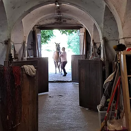 Ottmanach Schlosshof