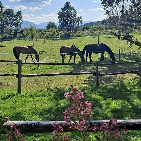 شقة Ottmanach Schlosshof