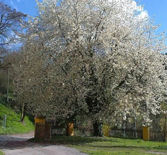 Ottmanach Schlosshof * Pischeldorf