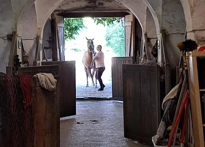 Ottmanach Schlosshof