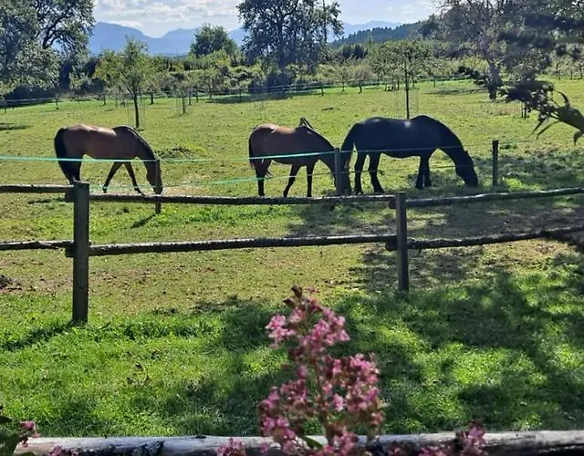 Daire Ottmanach Schlosshof